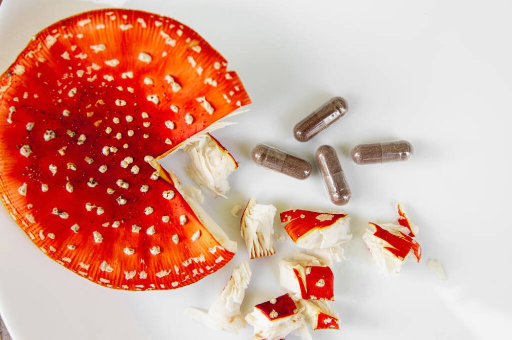 Мікродозинг червоного мухомора – чому люди говорять про внутрішній баланс