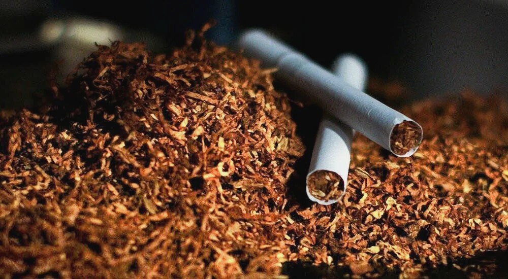 Shop Tabaco – онлайн-магазин для поціновувачів якісного тютюну